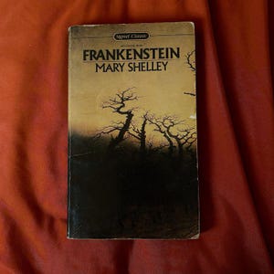 Frankenstein by Mary Shelley - Digital Download | Classic Horror eBook PDF | Public Domain Gothic Literature | Instant Download