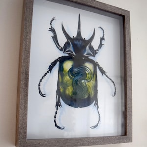 Specimen (Modeled after Rhinoceros Beetle (Dynastinae))