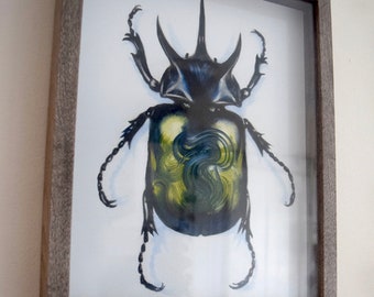 Specimen (Modeled after Rhinoceros Beetle (Dynastinae))