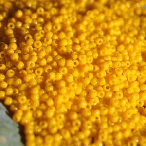 May include: A close-up image of a large pile of yellow beads. The beads are small and round, and they are all the same size. The beads are arranged in a random pattern, and they are all touching each other.