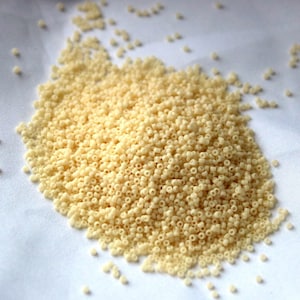 15/0 Matte Op Dark Cream Miyuki seed bead, 10 gram bag, Color# 15-492F