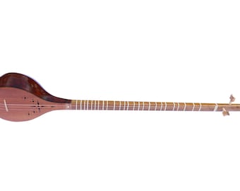 Setar String Musical Instrument