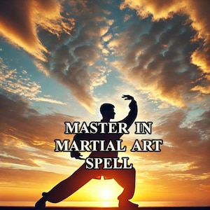 Puede incluir: Silueta de una persona practicando artes marciales contra un cielo de puesta de sol con el texto "Master in Martial Art Spell".