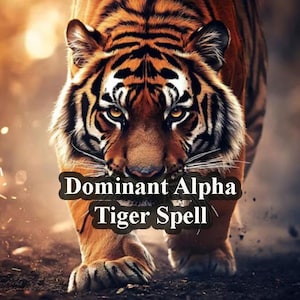 Può includere: Primo piano di una tigre che cammina verso la fotocamera. La tigre ha strisce arancioni e nere e un'espressione feroce. Il testo "Dominant Alpha Tiger Spell" è sovrapposto all'immagine.