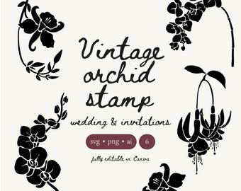 May include: Black and white vintage orchid stamp designs for weddings and invitations. The image includes various floral illustrations and the text "Vintage orchid stamp wedding & invitations". The design is fully editable in Canva.