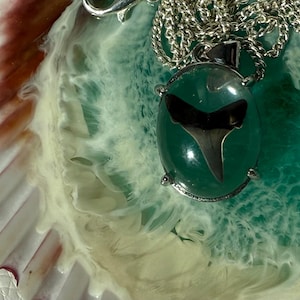 The HBIC shark tooth oval pendant