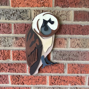 Barn Owl Wall Art - Handpainted bird lover gift - Decorative Wooden Bird decor