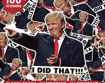 "100-teiliger ""Ich habe das"" Trump-Aufkleberpaket, Anti-Trumpf- und Eclipse-Meme-Aufkleber, lustige antifaschistische antirassistische Aufkleber für Aktivisten."