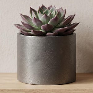 Large Handmade Concrete Plant Pot in Silver - Round Minimalist Planter for Cactus & Succulent