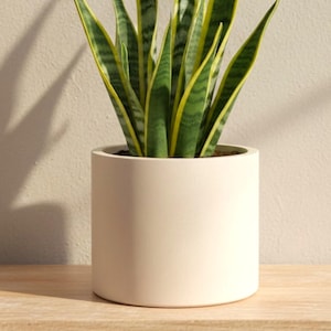 Large Off White Plant Pot Holder - Neutral Indoor Planter