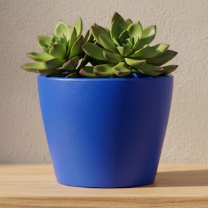 Handmade Tapered Plant Pot 12cm – Custom Colour Indoor Succulent or Cactus Planter