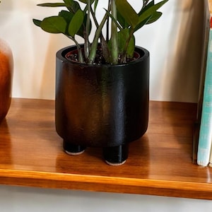 May include: A potted ZZ plant with dark green leaves in a black planter with four legs. The planter is sitting on a wooden shelf with a vase of red and green flowers to the left and a stack of books to the right.