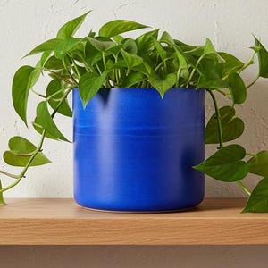 Large 15cm Round Plant Pot, Choose Colour, Handmade Modern Indoor Planter