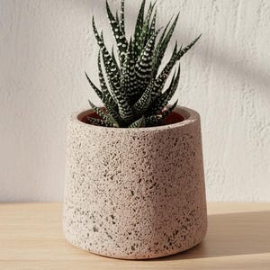 Handmade Concrete Terrazzo Plant Pot | Small Round Granite Succulent Planter | Modern Mini Flowerpot