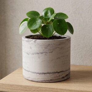 Large Marble Coloured Plant Pot,  White Grey Black Modern Planter for Cactus Succulents & Houseplants