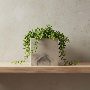 Pot de fleurs carré marbré blanc et gris de 10 cm pour plantes d'intérieur
