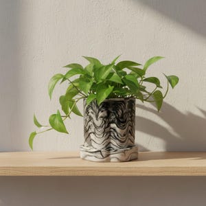 Black and White Marbled Plant Pot with Saucer, Desk Organiser, Indoor Planter