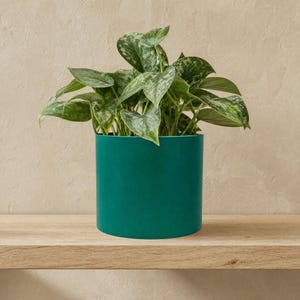 15 cm Persian Green Plant Pot for Indoor Houseplants