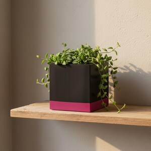 May include: A square black planter with a magenta base holds a trailing green plant. The planter sits on a natural wood shelf, with the plant's vines cascading over the sides. The design is modern and minimalist.