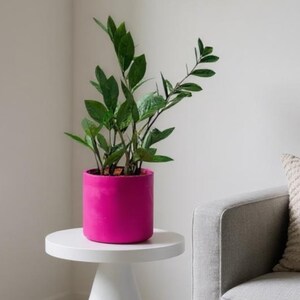 A 15 cm large fuchsia pink plant pot holding a ZZ plant is on a small white table. The table is next to a grey armchair. The overall aesthetic is modern and minimal and the magenta planter is suitable for holding small to medium sized plants.