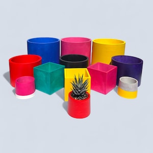May include: A selection of brightly coloured planters in different shapes and sizes. The planters are in shades of red, pink, blue, yellow, green, black, and purple. One planter contains a small succulent plant.