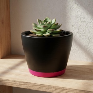 May include: A black ceramic plant pot with a vibrant pink band at the base, holding a green succulent plant. The pot sits on a light-colored wooden shelf, creating a modern and minimalist aesthetic. The succulent has green leaves with reddish tips.