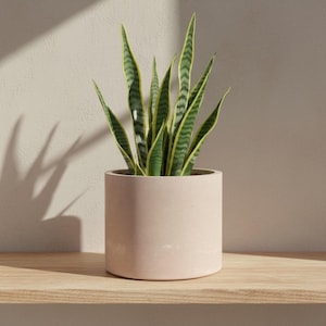 15cm Round Beige Plant Pot, Large Indoor Planter for Houseplants