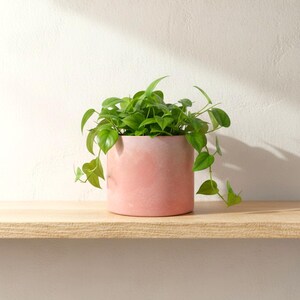 Large Flamingo Pot | Modern Indoor Planter for Herbs, Houseplants, Cacti and Succulents | Pink Flowerpot