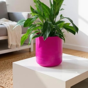 A large magenta 19 cm handmade planter on a white table. The plant pot holds a large peace lily. The pot has a soft satin sheen and the vibrant colour compliments the green of the plant’s leaves beautifully. The simple design and bold colour make the pot suitable for a variety of interiors.