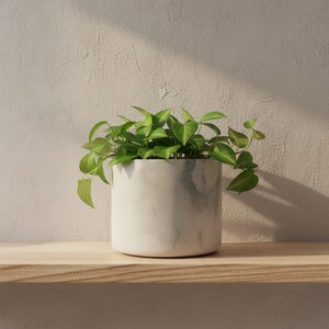 15cm Round White and Grey Marbled Concrete Plant Pot, Indoor Planter