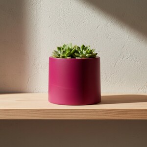 Magenta planters, modern plant pots, bold colour flowerpots in various sizes for succulents & houseplants afbeelding 7