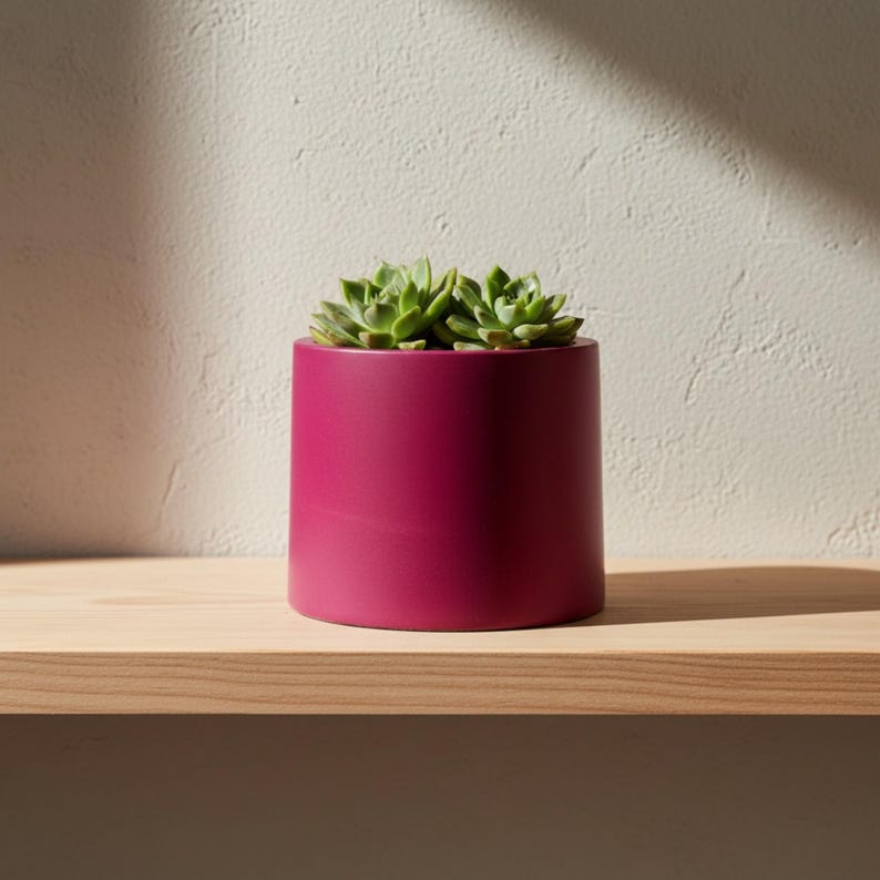 Magenta planters, modern plant pots, bold colour flowerpots in various sizes for succulents & houseplants afbeelding 7