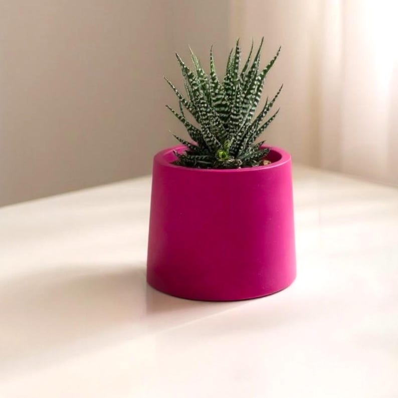 A vibrant handmade  mini 7.5 cm magenta plant pot holding a zebra plant. The cylindrical pot tapers slightly towards the rim and the bold fuchsia pink colour showcases the plant beautifully. The compact pot is suitable for housing mini succulents and cuttings and its small sized allows it to be placed anywhere.