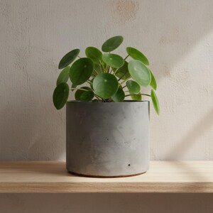 Large Dark Grey Concrete Plant Pot for Indoor Houseplants