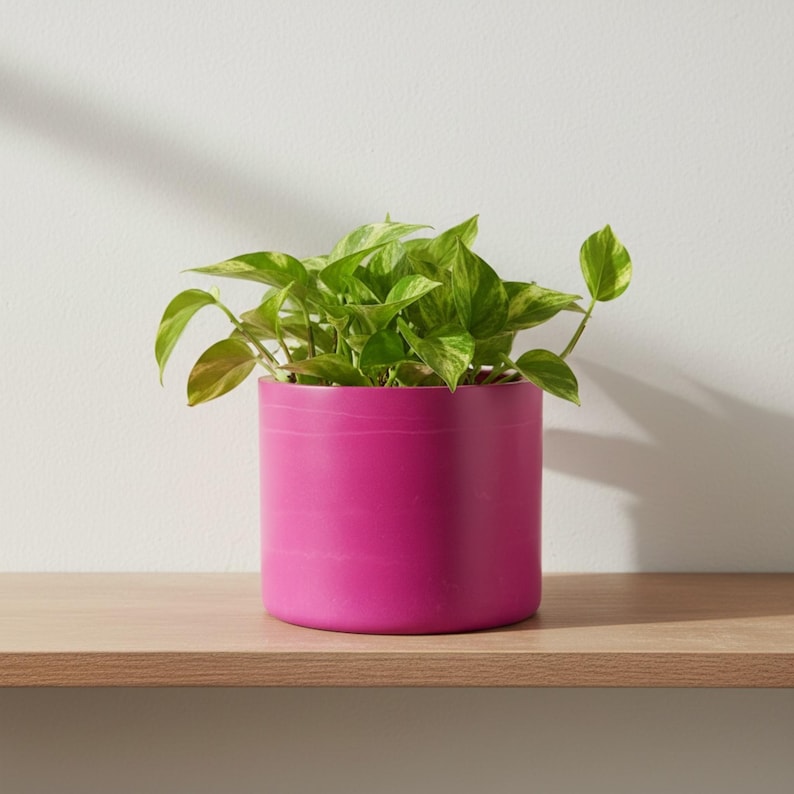 15 cm round fuchsia plant pot holding a green pothos on a wooden shelf against a pale wall, showing the bright pink finish in a styled indoor home setting.