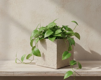 10 cm Square Concrete Plant Pot, Granite Terrazzo Planter, Modern Succulent Pot