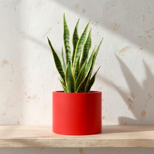 Large 15cm Round Red Plant Pot, Indoor Planter for Houseplants