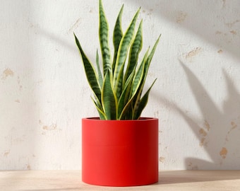 Large 15cm Round Red Plant Pot, Indoor Planter for Houseplants