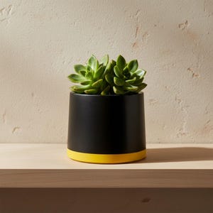 7.5cm Two Tone Tapered Plant Pot, Colourful Black Indoor Planter, Small Succulent Pot