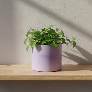 Large Lilac Plant Pot | 15cm Planter in Pale Mauve | Handcrafted Flowerpot for Succulents & Cacti