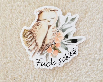 Woodland owl Fu*k sakes! - Waterproof Vinyl Sticker -  for laptops, water bottles, journals measures 3 x 3 inches