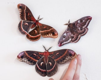 Earth-tone Realistic Paper Moth, Double-sided, Butterfly Paper-cut Decorations, Faux Moth - "Autumn" Cecropia and Emperor Moth 3 Piece Set