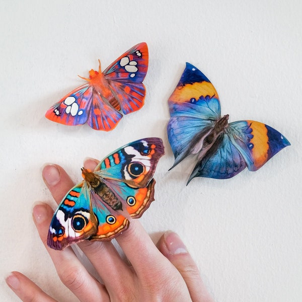 Realistic Paper Butterflies, Double-sided, Faux Butterfly Paper-cut Craft Cutouts - "Dawn" Oak-leaf Butterfly and Blue Buckeye 3 Piece Set
