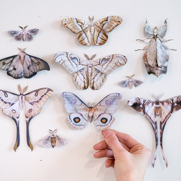 Realistic Paper Butterflies, Double-sided, Butterfly Paper-cut Craft Cutouts - "The Antiquarian Collection" 10 Piece Set