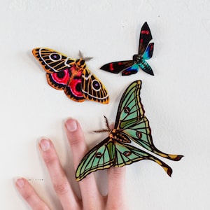 Art Deco Realistic Paper Moths, Double-sided, Faux Butterfly Paper-cut Craft Cutouts - "Jade" Spanish Moon Moth and Emperor Moth 3 Piece Set