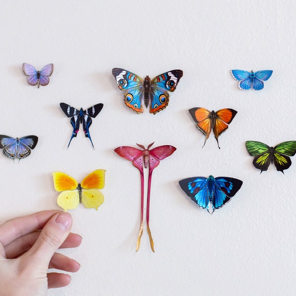 SALE - Realistic Paper Butterflies, Double-sided, Butterfly Paper-cut Craft Cutouts - “Little Wonders” 10 Piece Set