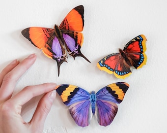 Realistic Paper Butterfly, Double-sided, Butterfly Craft Cutouts - "Sunrise" Daggerwing Butterfly and Banded Foster Butterfly 3 Piece Set