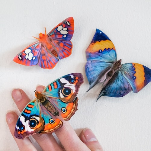 Realistic Paper Butterflies, Double-sided, Faux Butterfly Paper-cut Craft Cutouts - "Dawn" Oak-leaf Butterfly and Blue Buckeye 3 Piece Set