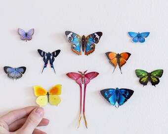 SALE - Realistic Paper Butterflies, Double-sided, Butterfly Paper-cut Craft Cutouts - “Little Wonders” 10 Piece Set