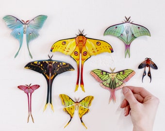 Colorful Realistic Paper Luna Moths, Double-Sided, Faux Butterfly, Paper-cut Craft Cutouts - “Faeirie-Tails” 8 Piece Set